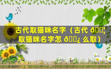 古代取猫咪名字（古代 🐦 取猫咪名字怎 🌿 么取）